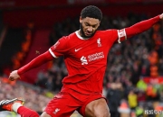 米兰体育app入口-包含维拉战胜强敌狼队，继续保卫主场荣誉的词条