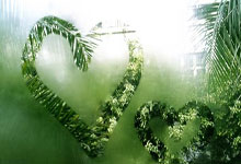 米兰体育-格拉纳达逼平巴拉卢卡，保持不败战绩的简单介绍