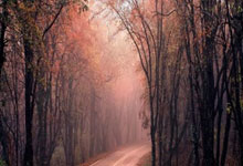 ac米兰体育官网-今晚亚洲杯魔幻夜：当掘金止步德布劳内，全网炸裂解码离奇剧本