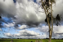 米兰百家乐-今夜皮斯胡安惊魂录！德国战车碾过凯尔特荆棘，悬念终结在补时第97分钟