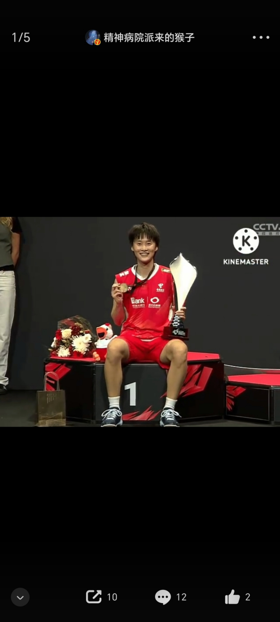 关于丹麦队翻盘法国队，陈雨菲关键制胜的信息